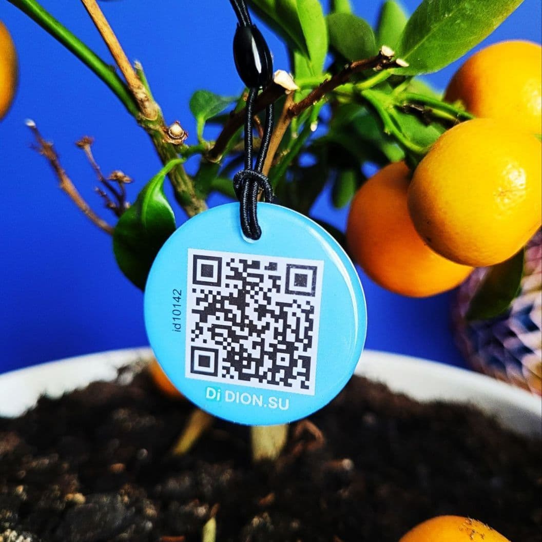 Купить NFC \ QR Адресник «Dion»